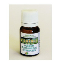 {
  "text": "camphor essence"
}