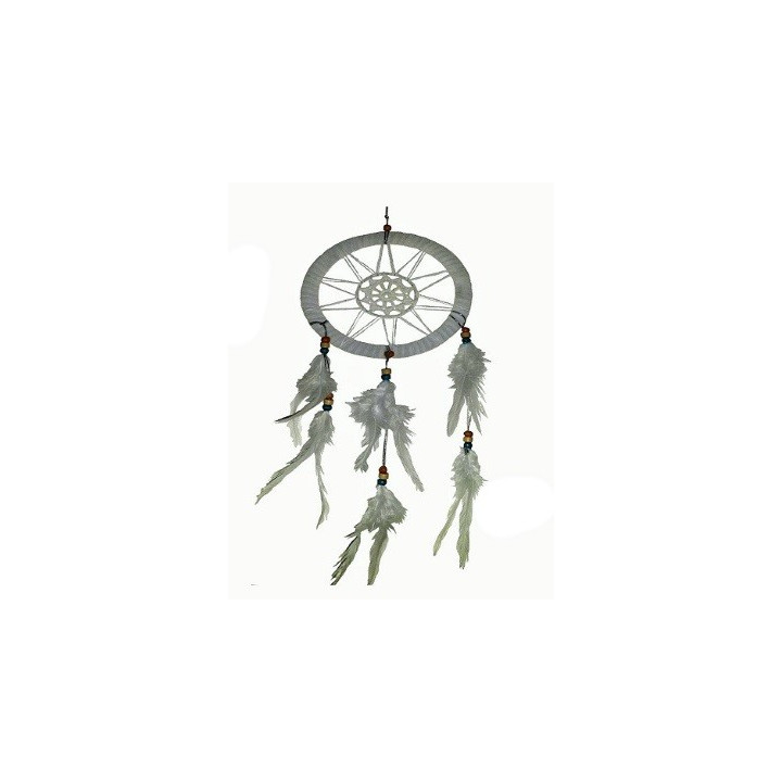 {
  "product_name": "white dream catcher web – 16cm"
}
