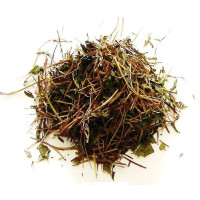 {
  "name": "Abre Caminho Herb"
}