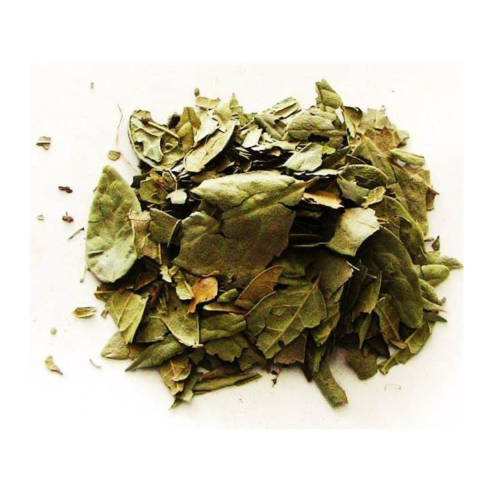 {
  "name": "boldo – planta 100g"
}