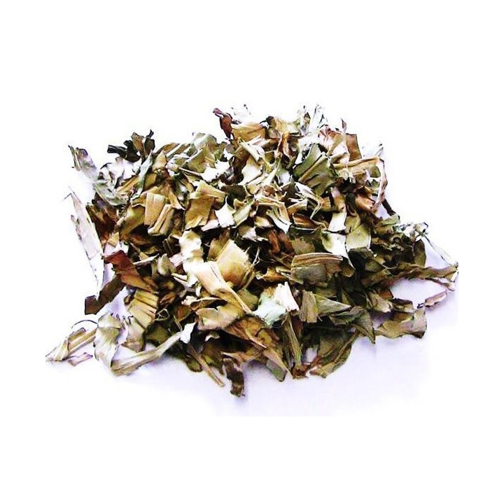 {
  "name": "cana do brejo – planta 50g"
}