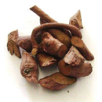 {
  "name": "caboclo vine – plant 100gr"
}