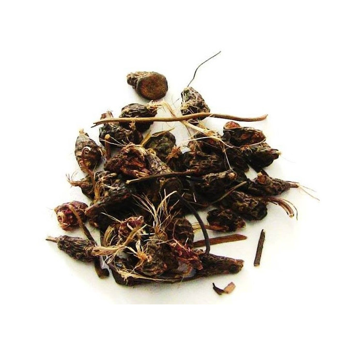 dandá da costa – planta 50gr