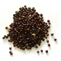 ```json
{
  "name": "pimenta da costa – grãos 5gr"
}
```