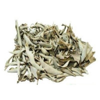 {
  "name": "white sage – plant 50g"
}