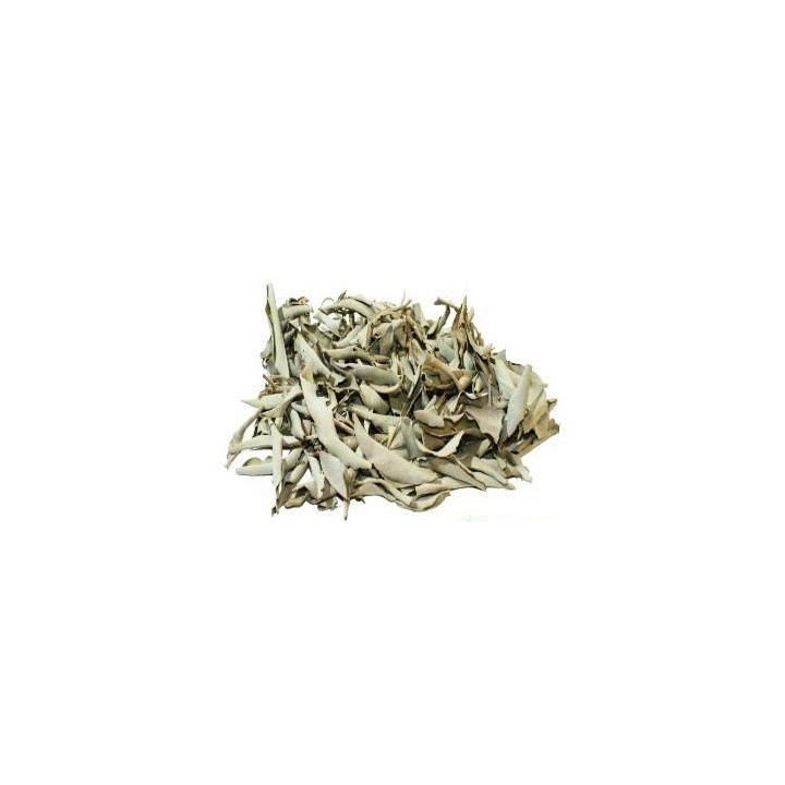 {
  "name": "white sage – plant 50g"
}
