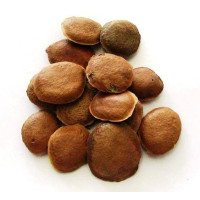 {
  "product": "sucopteris - seeds 50gr"
}