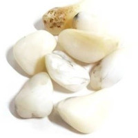 {
  "text": "white opal"
}