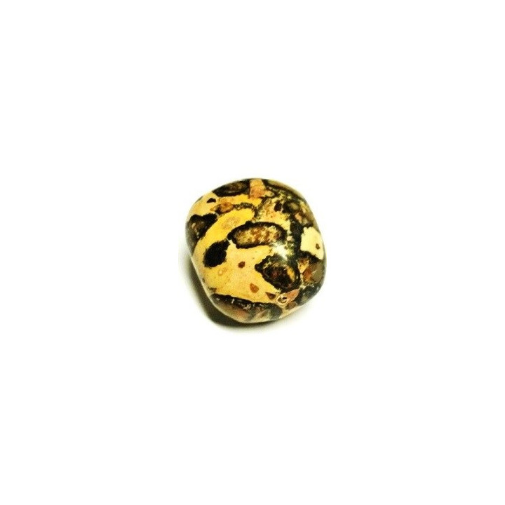 {
  "text": "leopardite – stone"
}