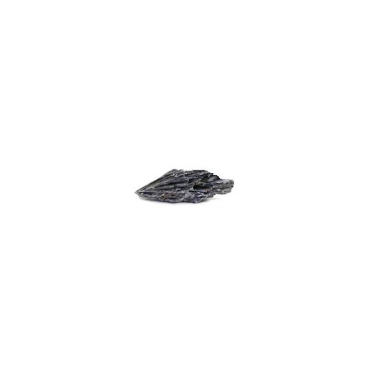 {
  "product_name": "black kyanite – witch's little broom 5/7g"
}
