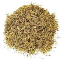 {
  "name": "Rosemary"
}