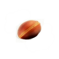 {
  "name": "Olho de Boi - seed"
}