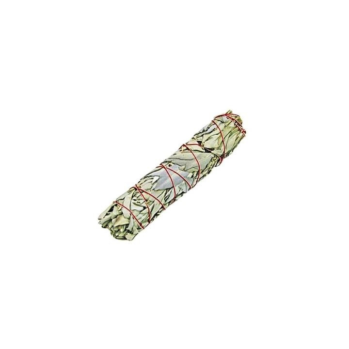 {
  "name": "WHITE SAGE – LARGE TORCH (ROLL 20CM)"
}