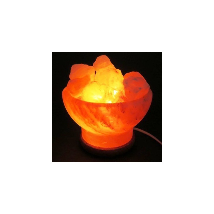 {
  "product_name": "USB Salt Lamp - Bowl 600/900 GR"
}