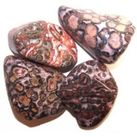 {
  "text": "leopard marbled - medium"
}