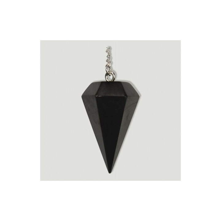 Shungite Pendulum