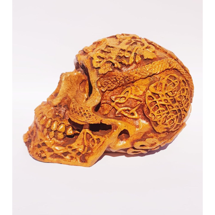 Calavera Decorativa 2 – 18cmX11cmX11cm