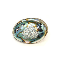 {
  "name": "Abalone Shell 12/14cm"
}
