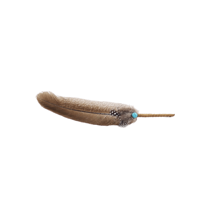 {
  "name": "Peruvian Feather with Leather Handle 30cm"
}