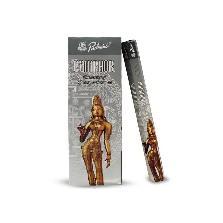 {
  "name": "Padmini Camphor Incense - 20g"
}