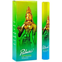 {
  "name": "Padmini Incense - 20g"
}