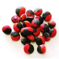 Olho de Cabra - Conjunto de 10