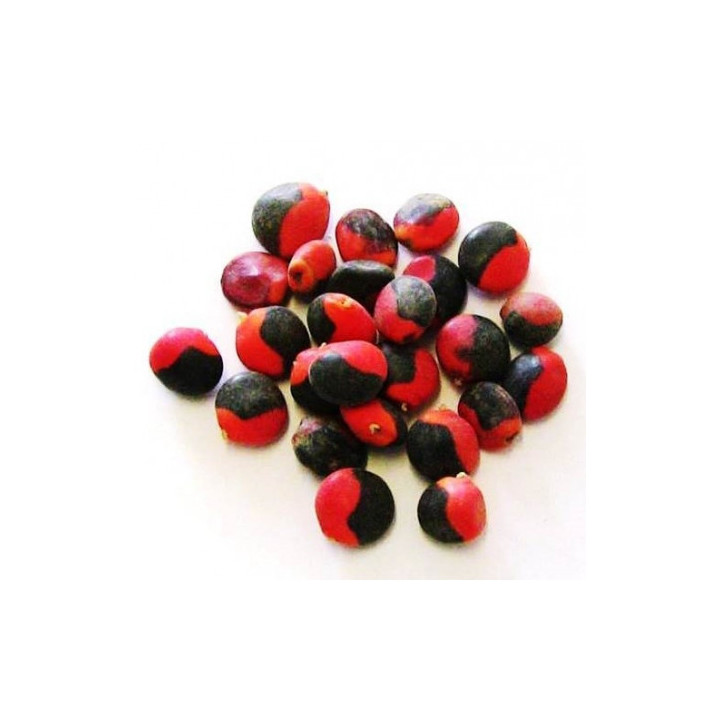 Olho de Cabra - Conjunto de 10