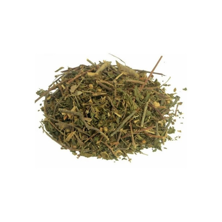 {
  "name": "Catinga de Mulata - Plant 100Gr"
}