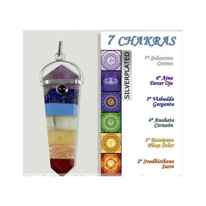 {
  "name": "7 Chakra Flat Pendant"
}