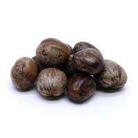 {
  "name": "Fava Obaluae"
}