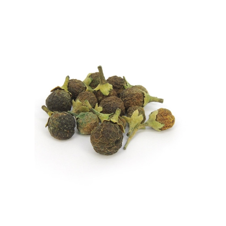 {
  "name": "Prosperity Fava"
}