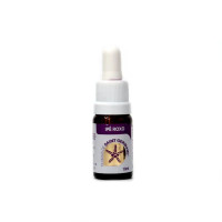 {
  "name": "Floral Ipê Roxo - 10ml"
}