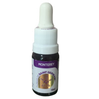 {
  "name": "Floral Monterey - 10ml"
}
