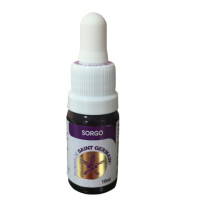 {
  "name": "Floral Sorgo - 10ml"
}
