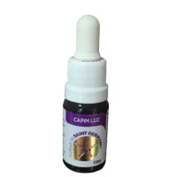 {
  "name": "Floral Capim Luz - 10ml"
}