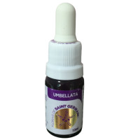 {
  "name": "Floral Umbellata - 10ml"
}