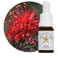 {
  "name": "Floral Grevilia - 10ml"
}