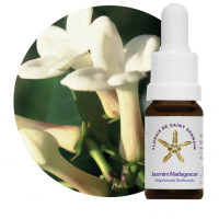 {
  "name": "Jasmine Flower Madagascar - 10ml"
}
