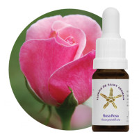 {
  "name": "Floral Rose - 10ml"
}
