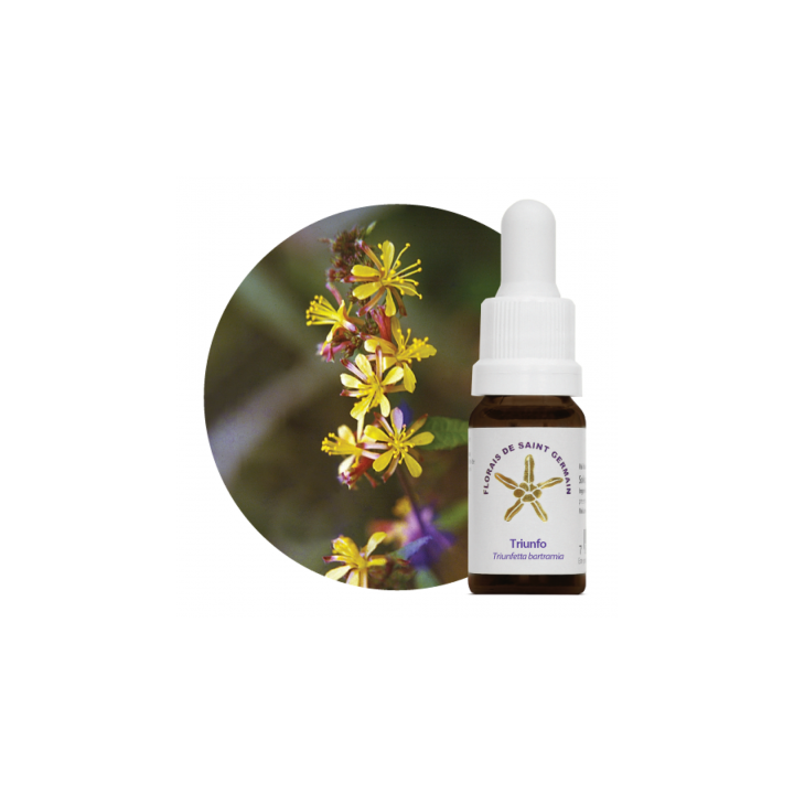 {
  "name": "Floral Triunfo - 10ml"
}