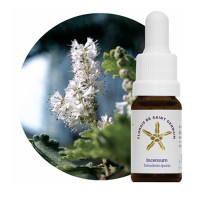 {
  "product_name": "Floral Incense - 10ml"
}