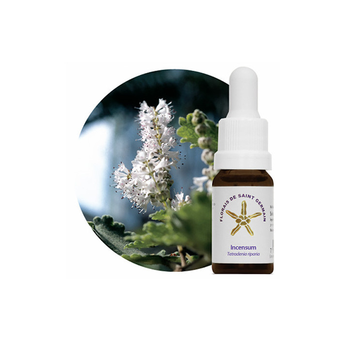 {
  "product_name": "Floral Incense - 10ml"
}