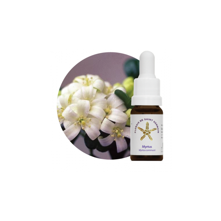 {
  "name": "Myrtle Floral - 10ml"
}