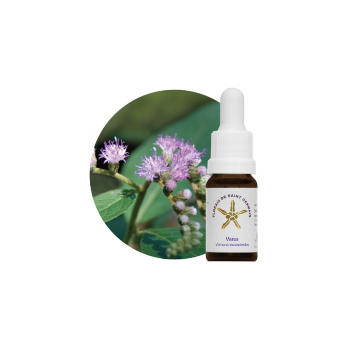 {
  "name": "Floral Varus - 10ml"
}