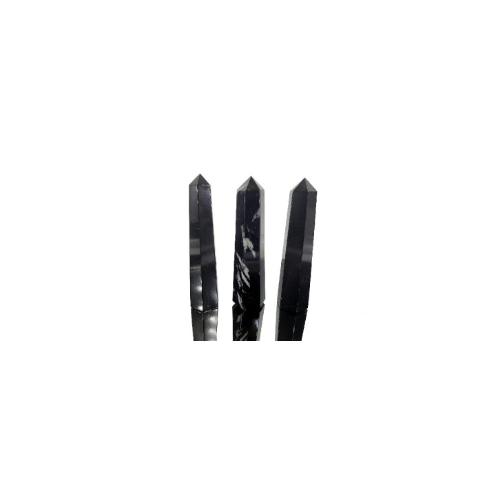 {
  "name": "Black Tourmaline Generator 9-12cm"
}