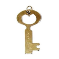 {
  "text": "steel key"
}