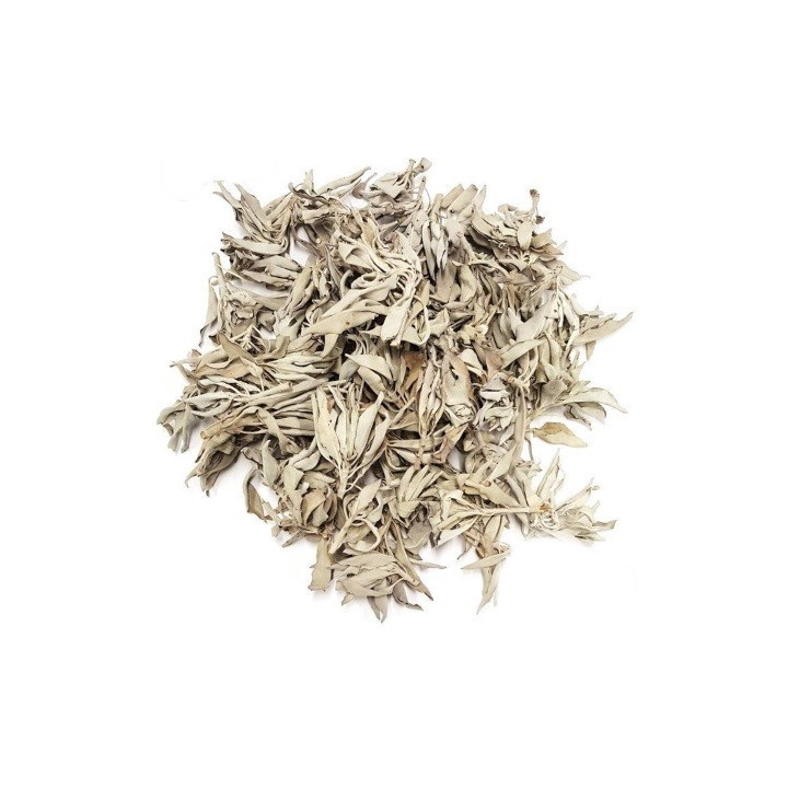 {
  "product_name": "white sage – plant 1kg"
}