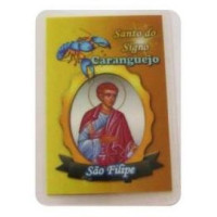 zodiac sign card - crab / san filipe