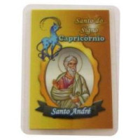 cartão signo – capricórnio/santo andré