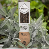{
  "product_name": "Natural White Sage Incense"
}